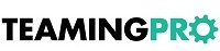 Federal Contracting Company – TeamingPro
